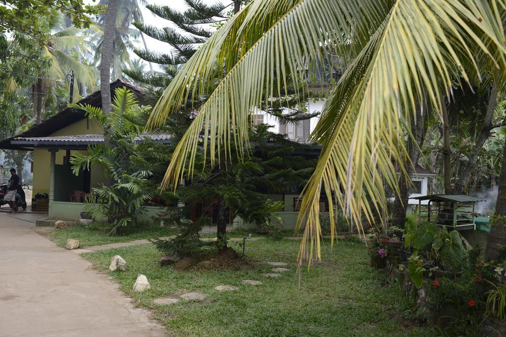 Traveller'S Home Hotel Tissamaharama Exterior foto